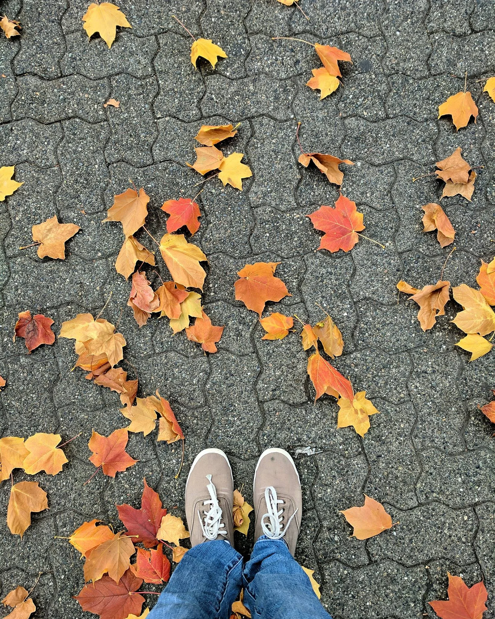 Fall colors — the original About-page photo, kept from the Squarespace era.